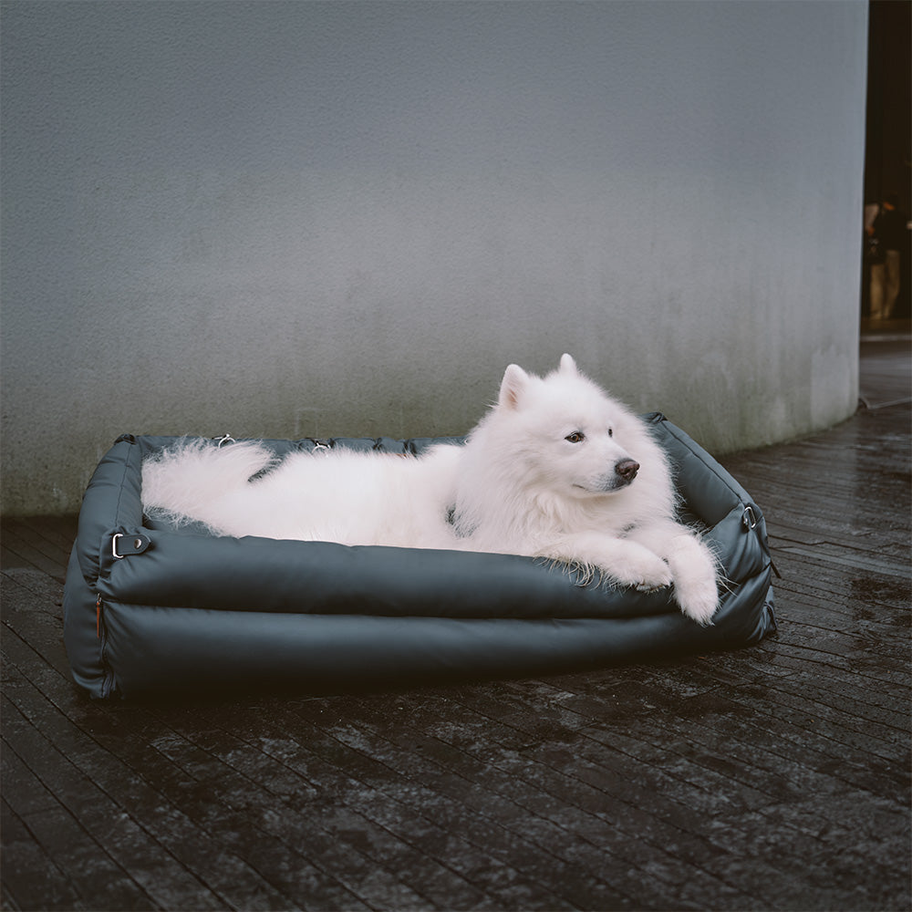 مقعد سيارة للكلب - الراحة والحماية