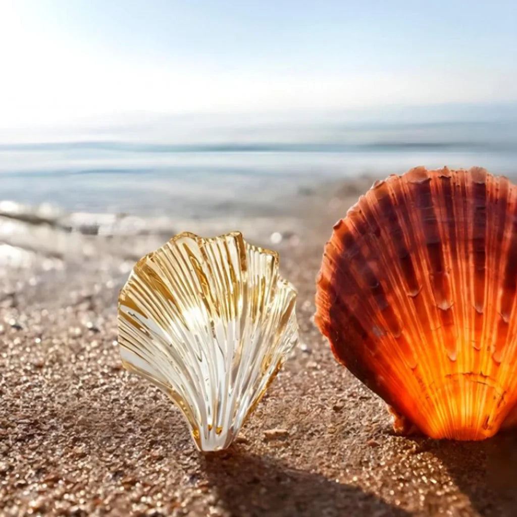 מנורת קיר צדף – תאורה אלגנטית וימית