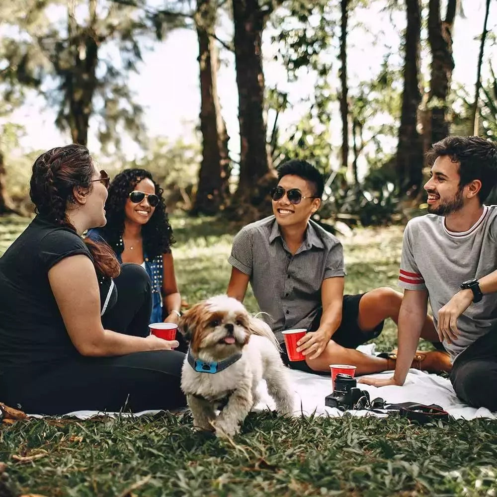 Kutyák számára készült ugatásgátló nyakörv — Kíméletes és hatékony képzés