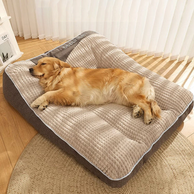 Grand Coussin Pour Chien – Repos Douillet Et Format Généreux