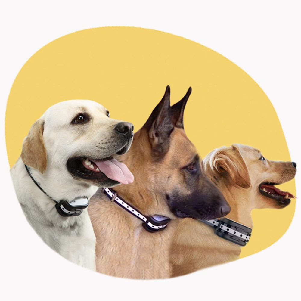 Wireless Dog Fencing System With Training Collar - Total Security And Controlled Freedom