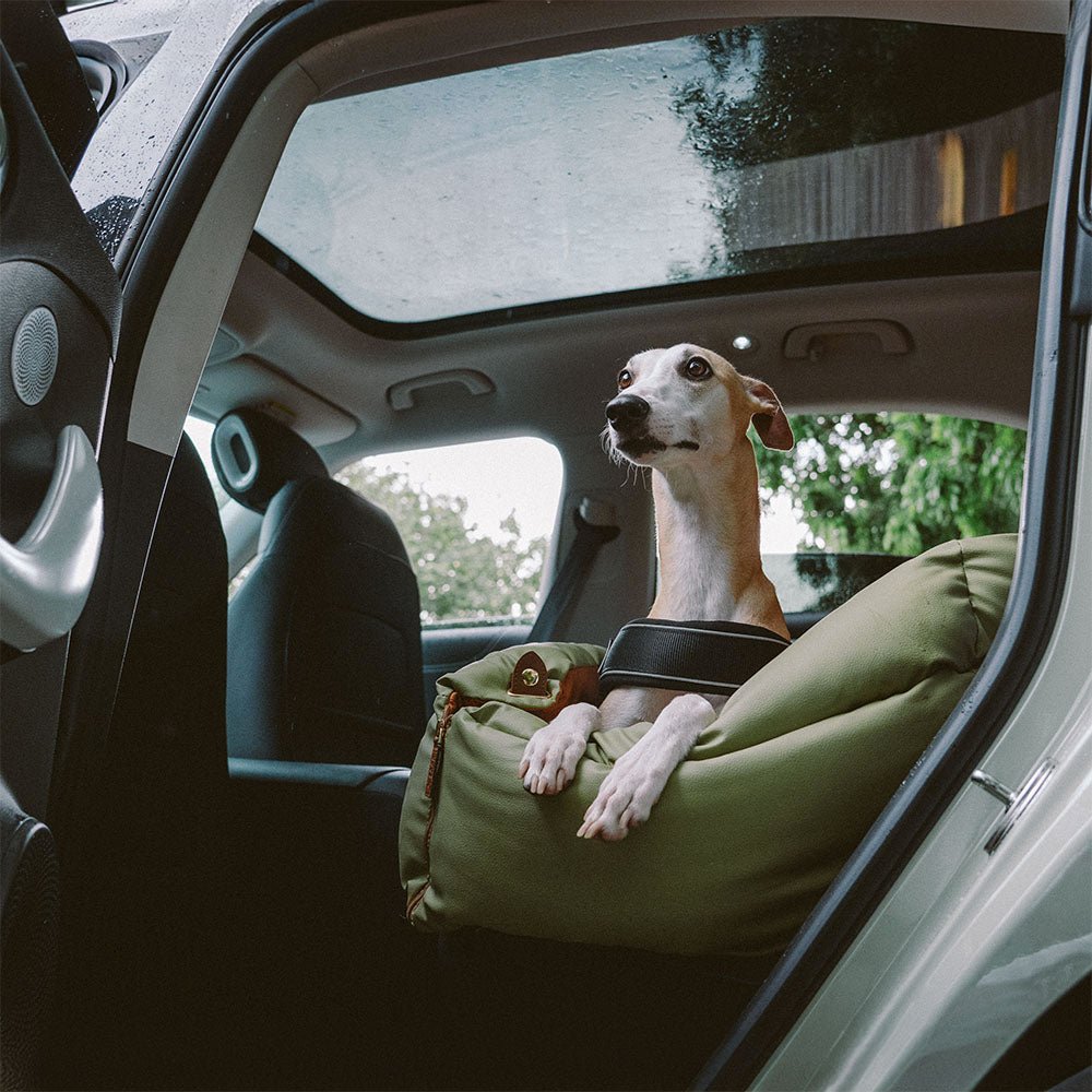مقعد سيارة للكلب - الراحة والحماية