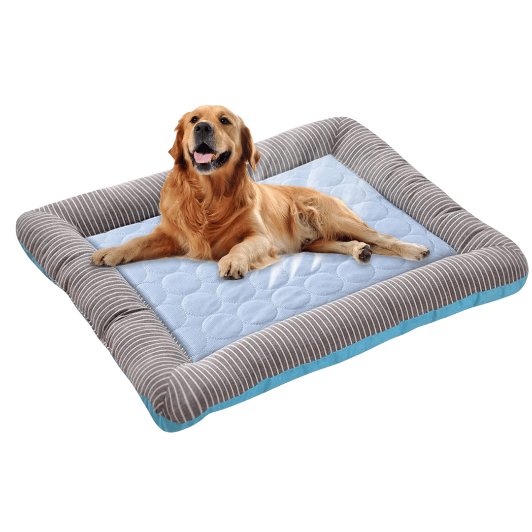 Perna Răcoritoare pentru Câini – Răcoare și Confort Vara