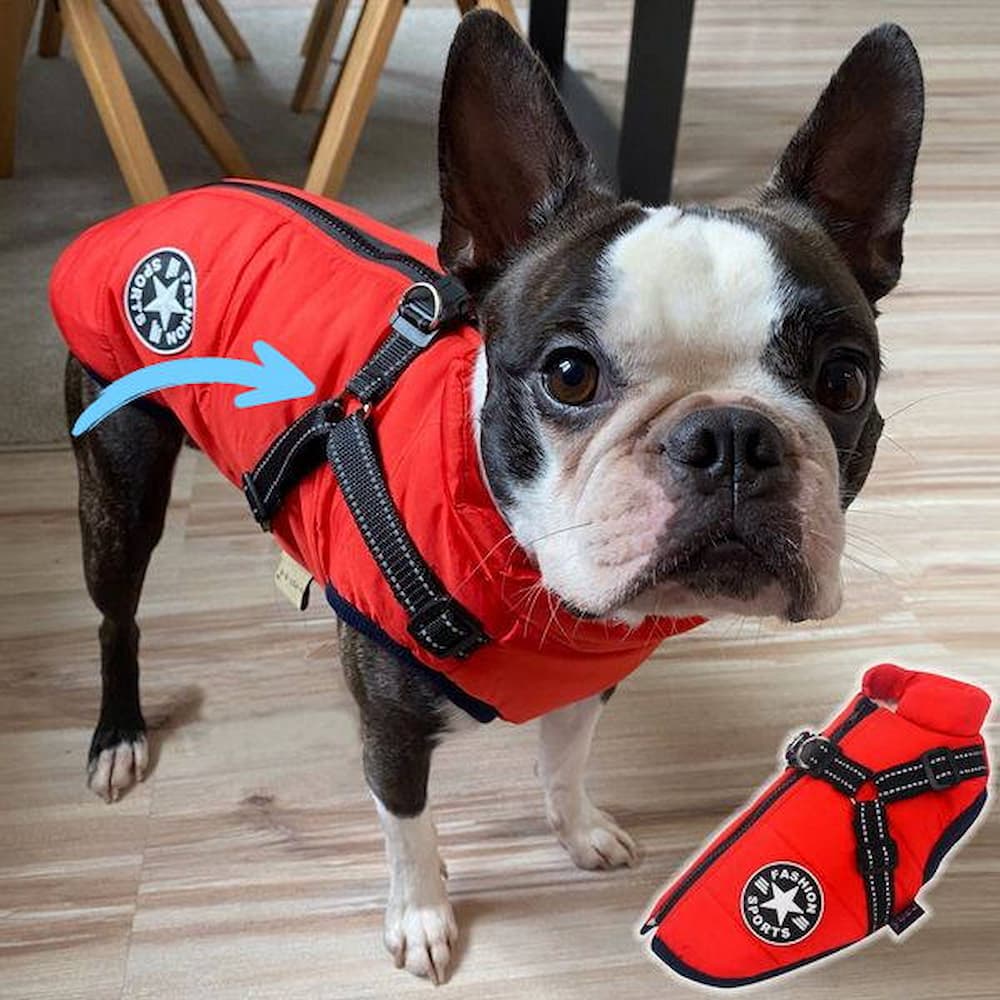 Vízálló Kutyakabát - Védelem & Stílus