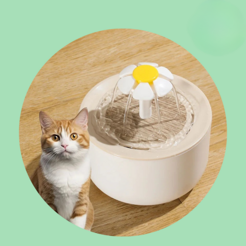 Macskaivó — Folyamatos hidratálás és mindig friss víz