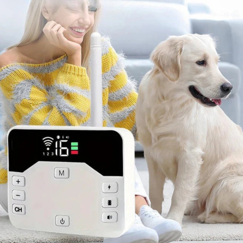Trådløs Hegn Med Træningskrave – Sikkerhed Og Uddannelse For Hund