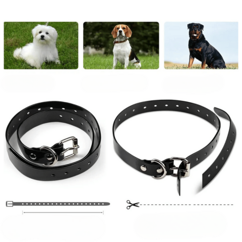 קולר אילוף בשלט רחוק – טווח של 800 מ', עמיד במים וניתן לטעינה