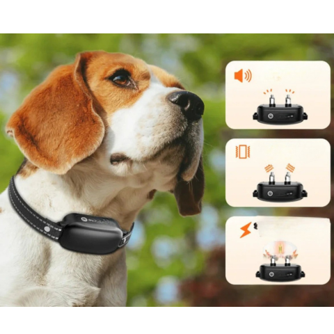 طوق تدريب مع جهاز تحكم عن بُعد - تعليم فعال