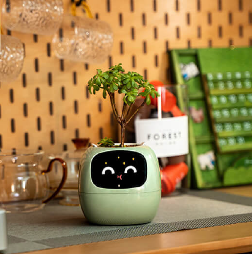 絵文字の花瓶 – オリジナルで楽しい装飾