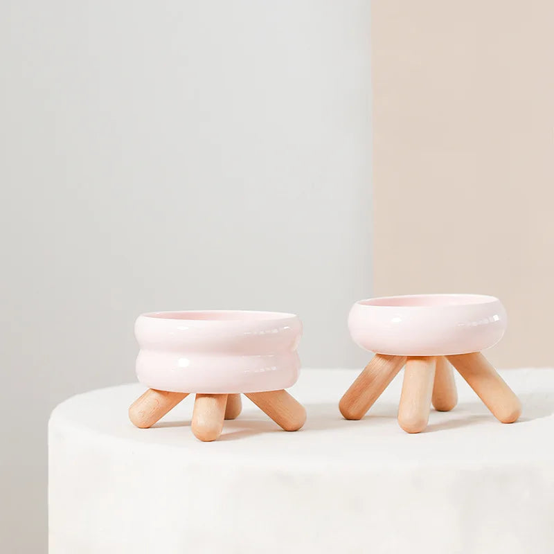 Σχεδιασμένο μπολ για γάτες - Άνεση & φυσική κομψότητα