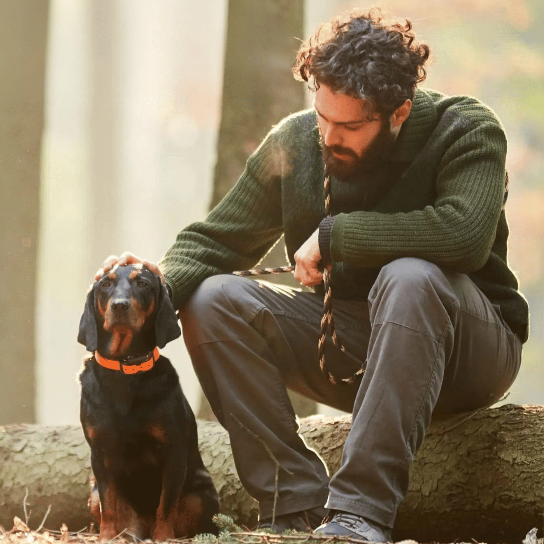 Collare di addestramento a distanza – Precisione e portata ottimali