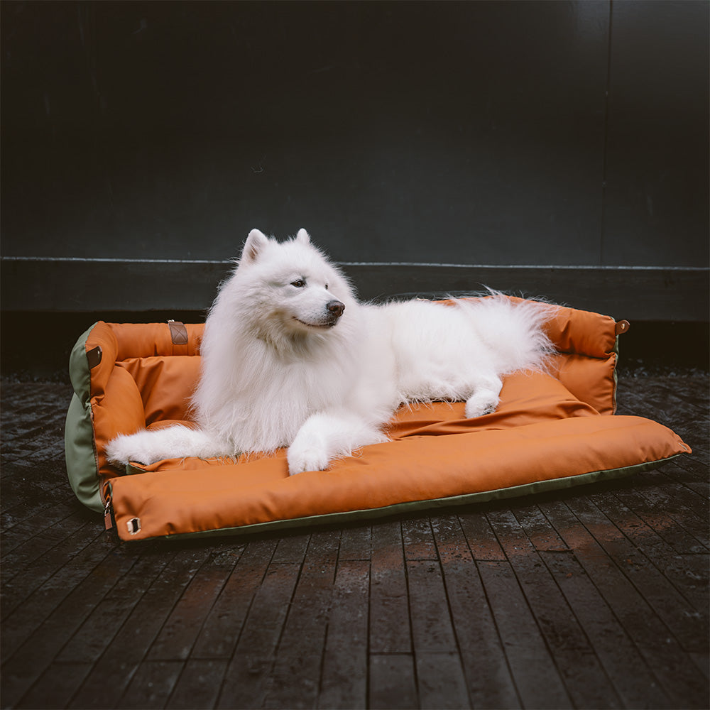 مقعد سيارة للكلب - الراحة والحماية