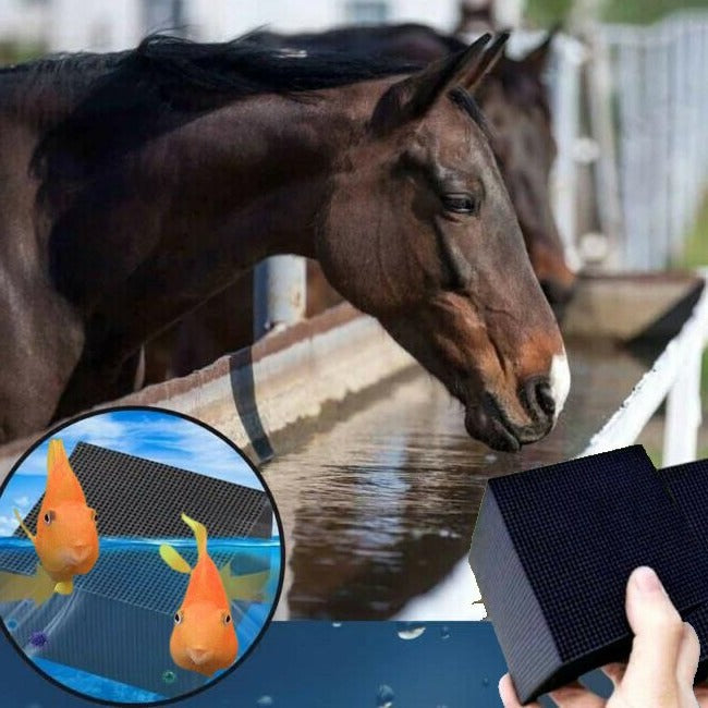 Water Purifier Cube for Pets – Clear and Healthy Water Every Day