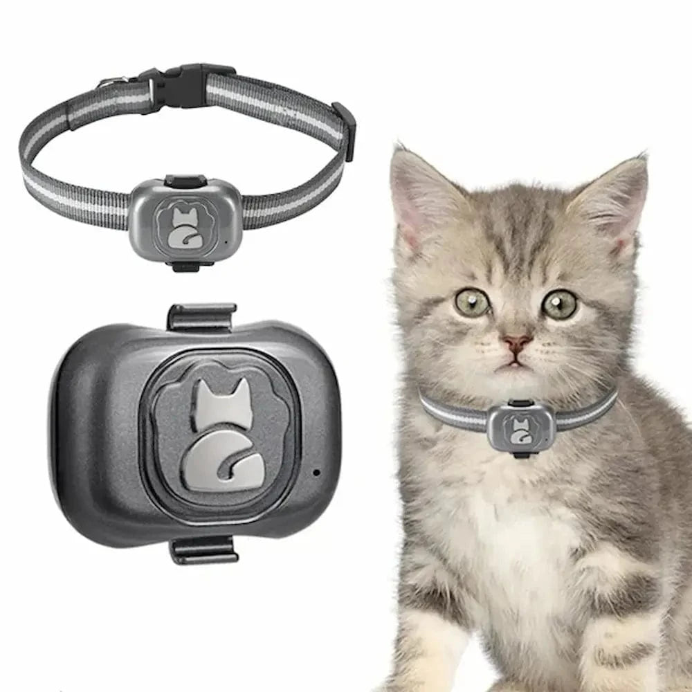 GPS Tracker Collar for Cats – Easy and Reliable Location