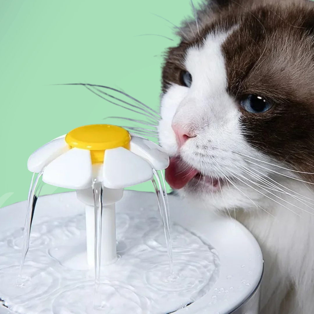 Cat Water Fountain — Continuous Hydration And Always Fresh Water 