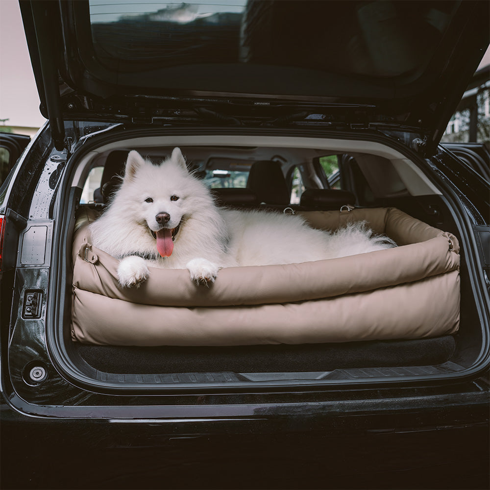 Dog Car Seat – Comfort and Protection 