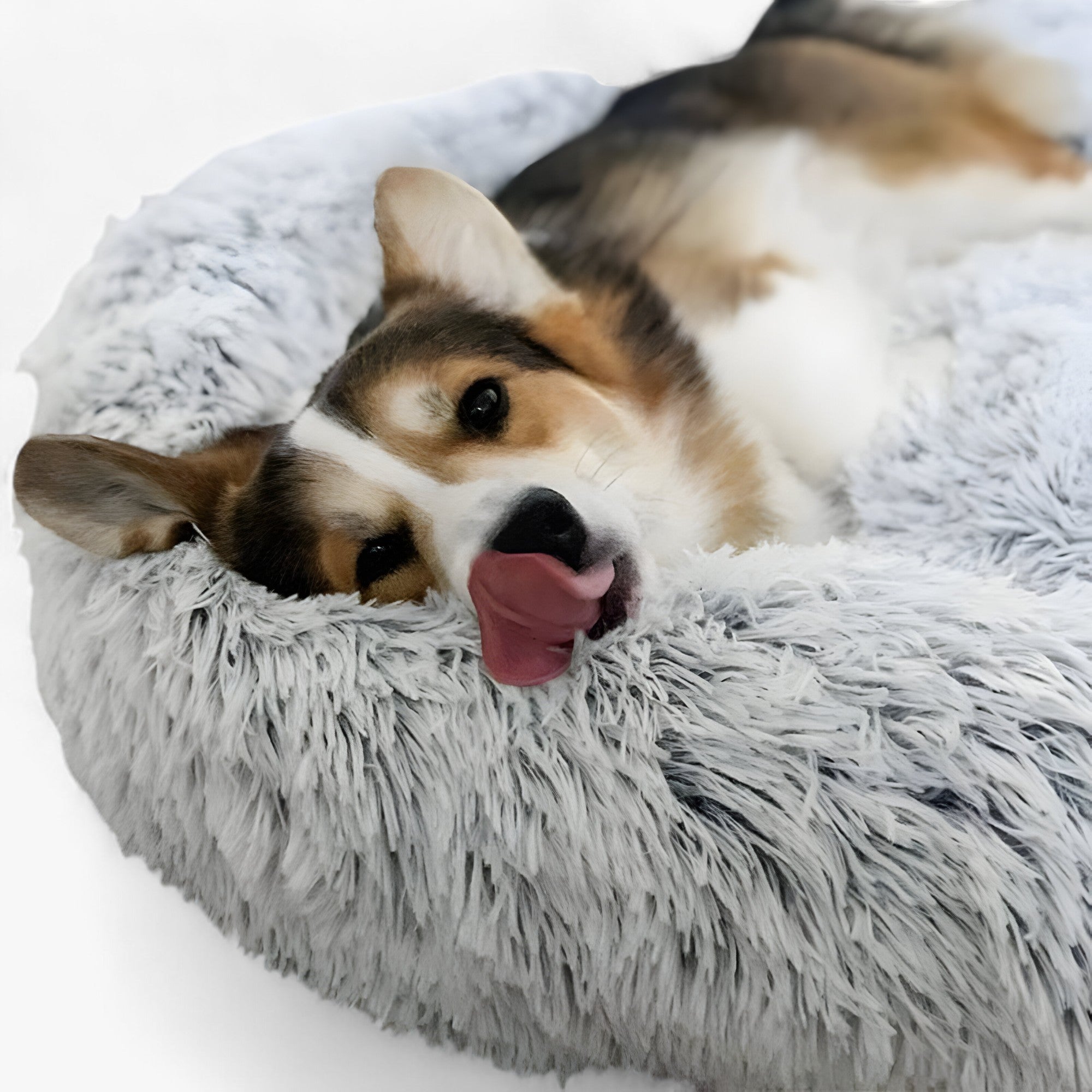 Cama Aconchegante Para Animais – Conforto Aconchegante E Sono Reparador 