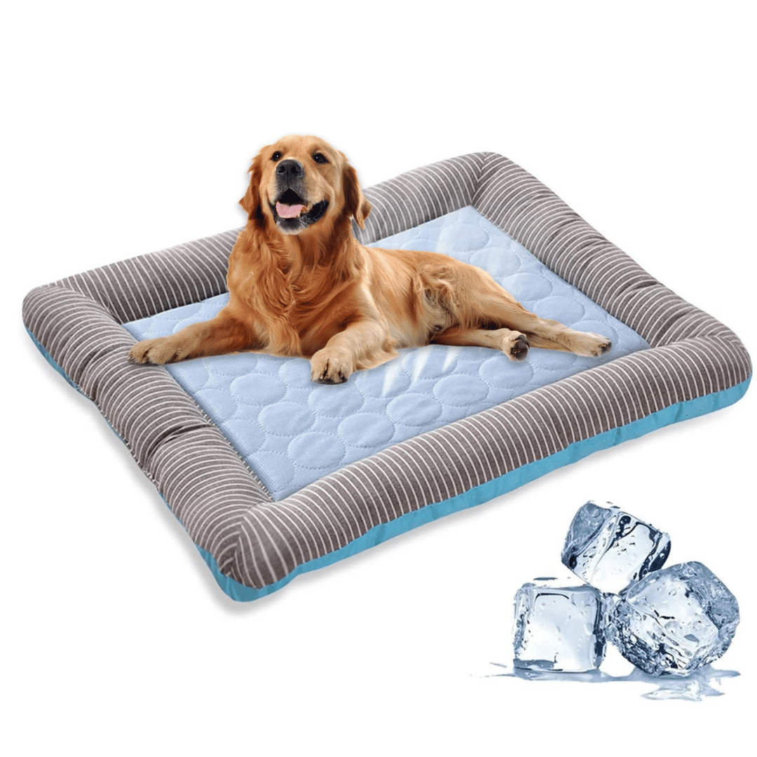 Cooling Cushion For Dogs – Freshness And Comfort In Summer 