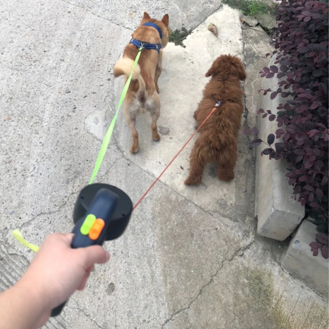 Deixa Retrátil Para Cães – Com Lâmpada LED E Distribuidor De Sacos 