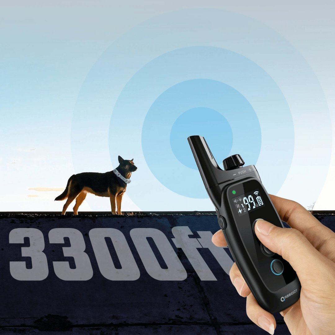 Dressurhalsbånd for hund – LED-fjernkontroll og rekkevidde 1000 m 