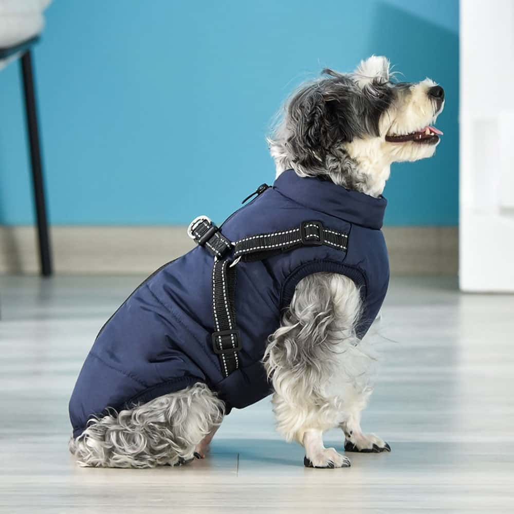 DOGGIEJACKET ™.