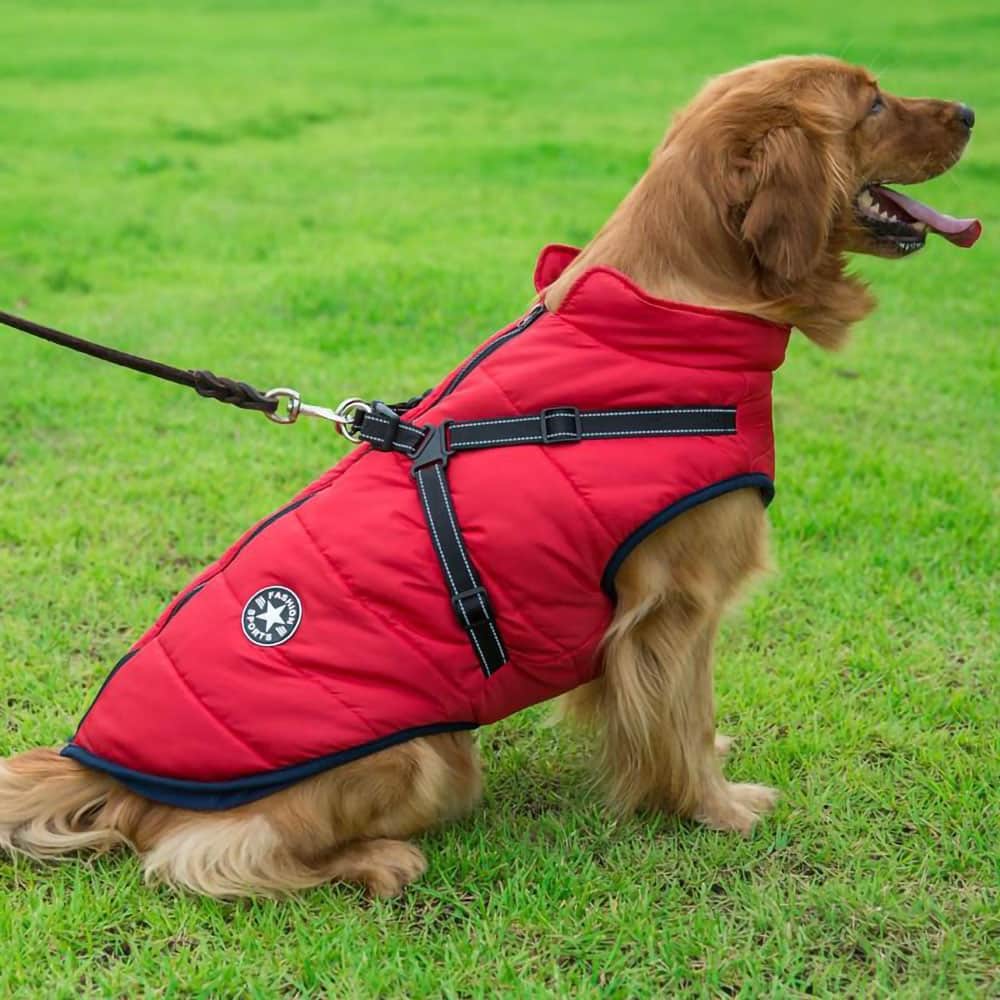 Waterproof Dog Parka - Protection & Style 