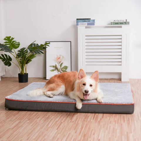 Bed For Large Dogs – Comfort And Adequate Space 