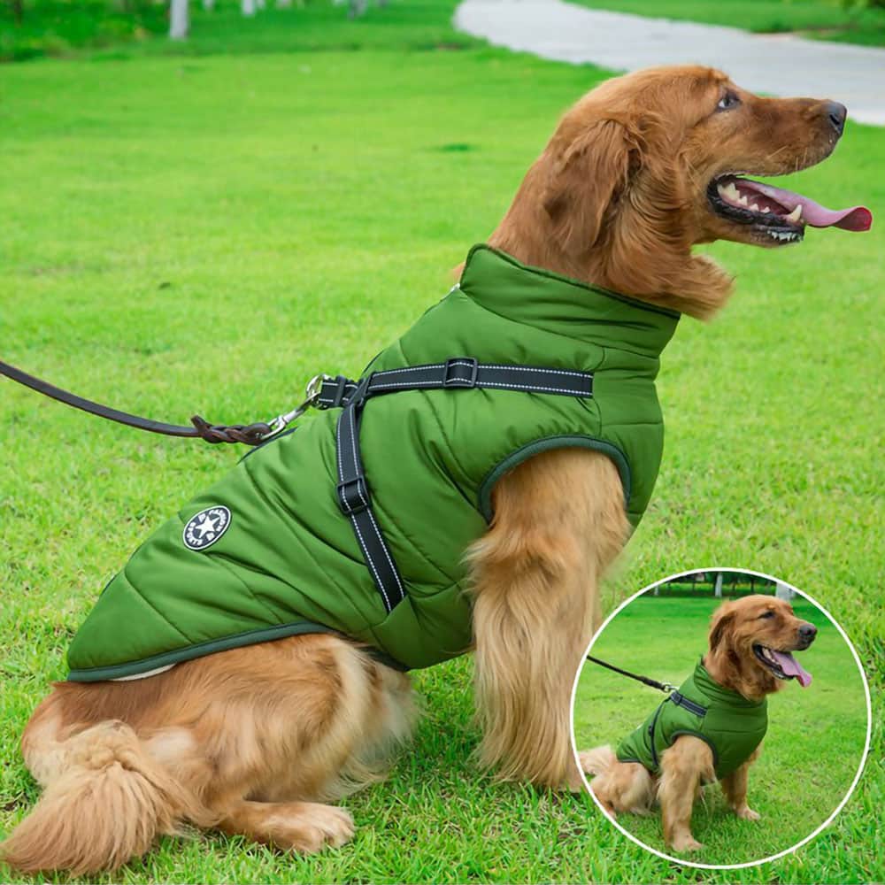 Waterproof Dog Parka - Protection & Style 