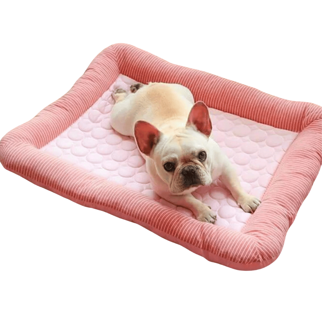Cooling Cushion For Dogs – Freshness And Comfort In Summer 
