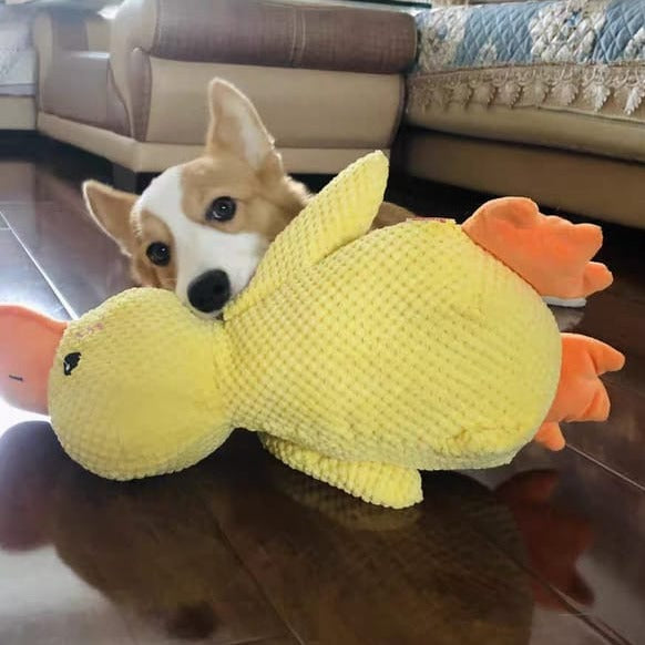 Soothing Duck Toy for Dog – Play and Relaxation Companion 