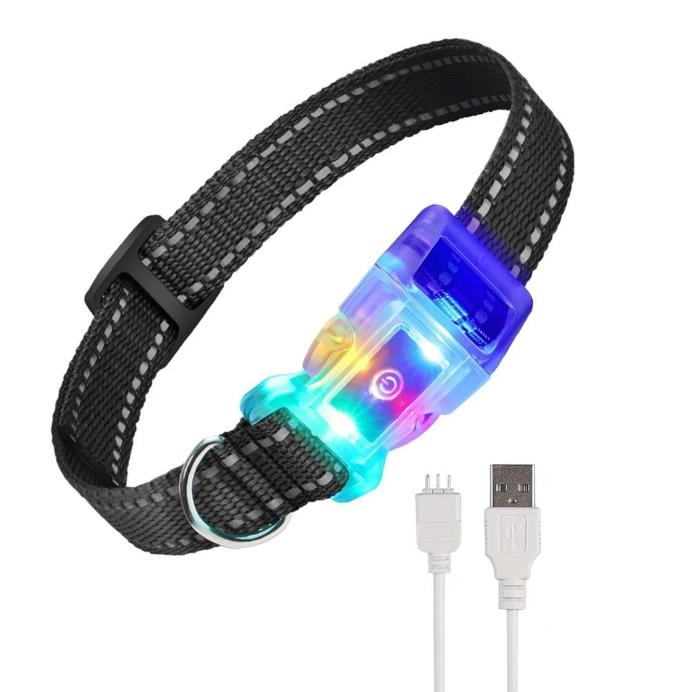 Collare di addestramento senza scossa – Telecomando fino a 1000 m 