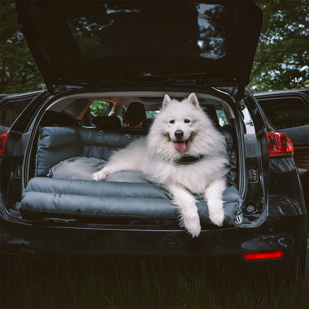 Dog Car Seat – Comfort and Protection 