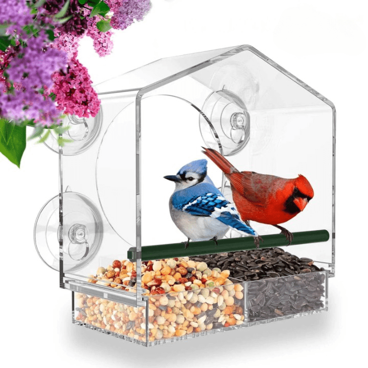 Transparent Feeder - Feed and Observe Birds from Your Window 